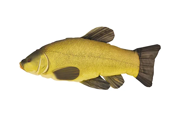 NextFish - Horgász webshop és horgászbolt - HALAS PÁRNA COMPÓ 60CM