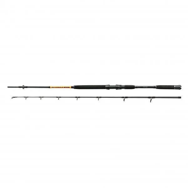 NextFish - Horgász webshop és horgászbolt - Nevis Powercat BX 3m harcsázó és tengeri horgászbot