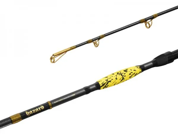 NextFish - Horgász webshop és horgászbolt - Delphin HAZARD BxG-255cm/505g/2 rész es harcsázó és tengeri horgászbot